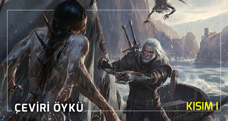 The Witcher La Strada Del Non Ritorno