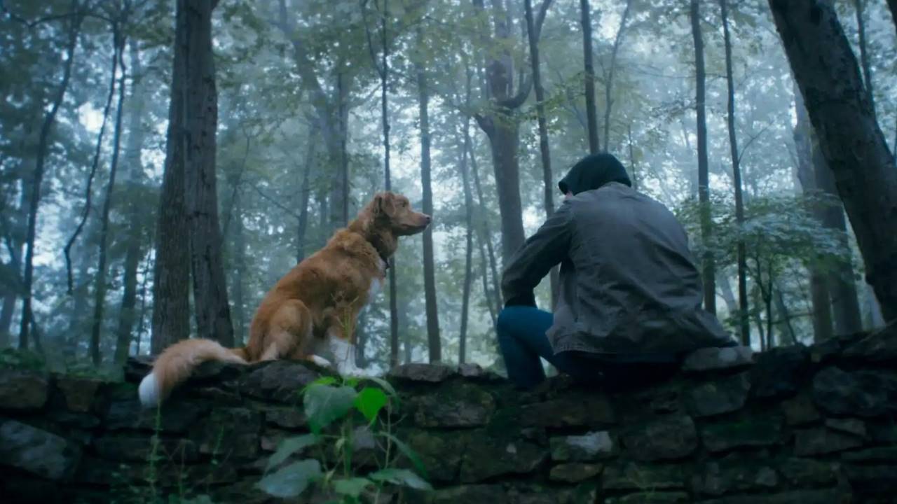 good-boy-k-pe-in-g-z-nden-anlat-lan-bir-korku-filmi