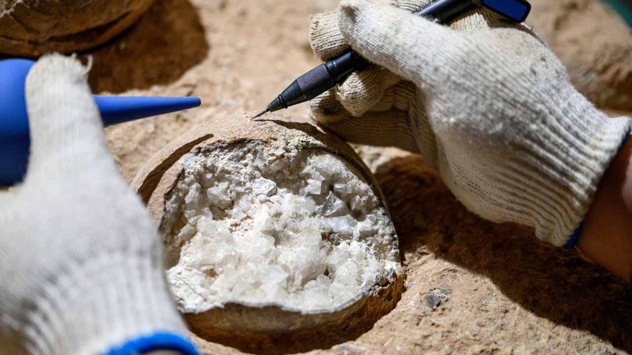 Tarihte Bir İlk: Dinozor Yumurtalarının Yaşı İlk Defa Hesaplandı
