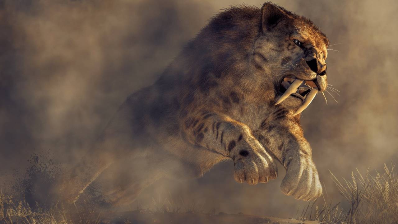 Homo habilis, Leoparlar Tarafından Avlanıyordu