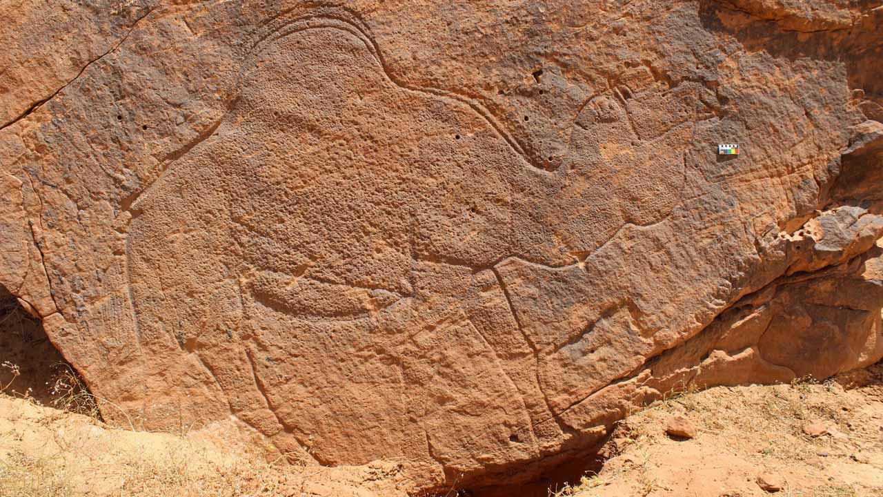 Arabistan Çölünde 12.000 Yıllık Hayvan Gravürleri Bulundu