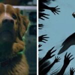 Good Boy Filmi Gişe Açılış