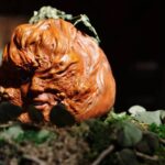 R.L. Stine's Pumpkinhead Film Fragman 2025