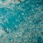 Pasifik Çöp Girdabı'nda Beklenmedik Yeni Bir Yaşam Formu Keşfedildi 9 Pasifik Çöp Girdabı Yeni Yaşam Formu