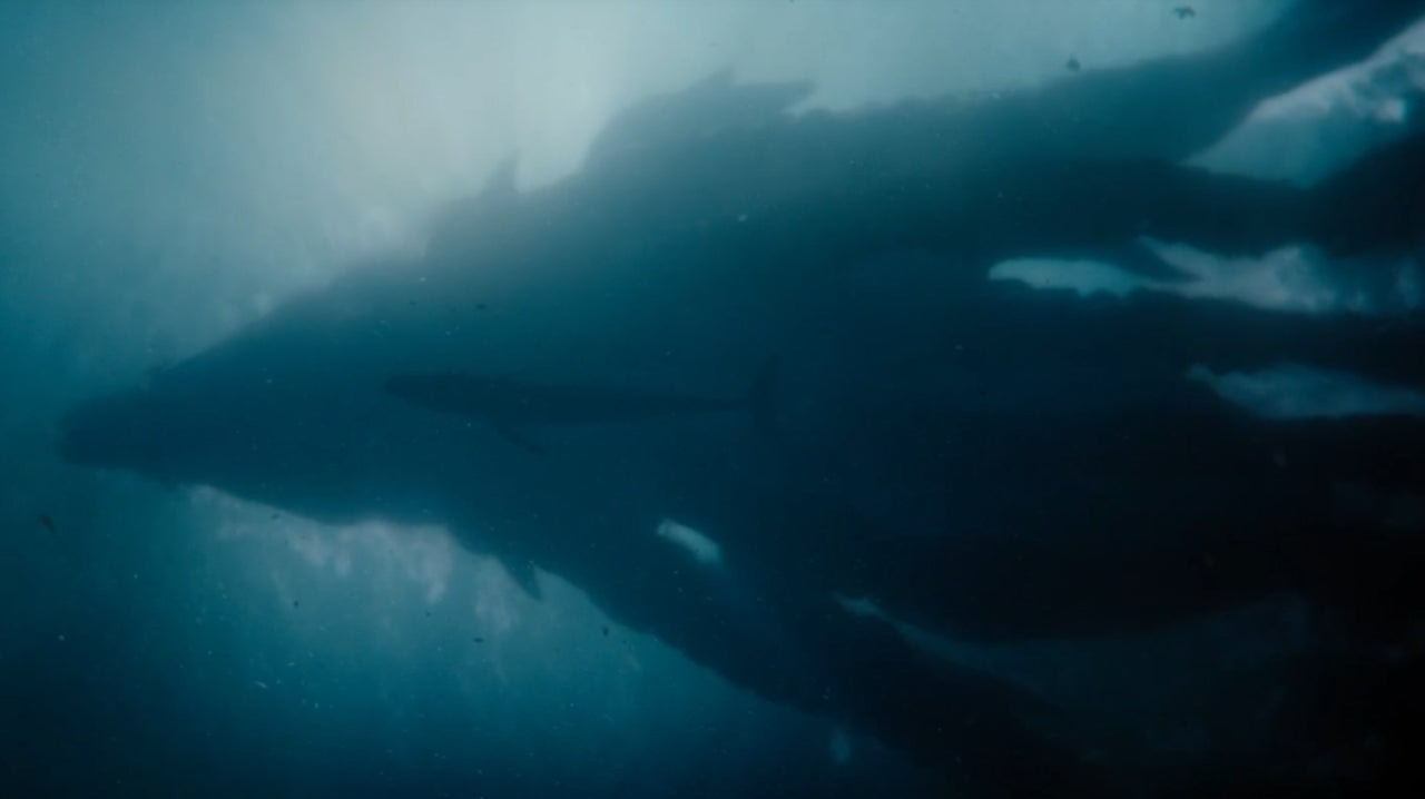  Legacy of Monsters 2. Sezon Titan X