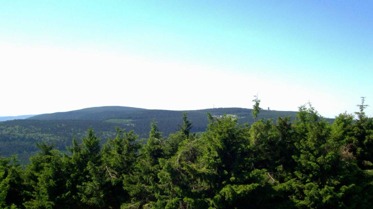 Almanya’da 300 Milyon Yıllık Sürüngen Derisi İzleri Bulundu 2 Almanya - Thüringen Ormanı