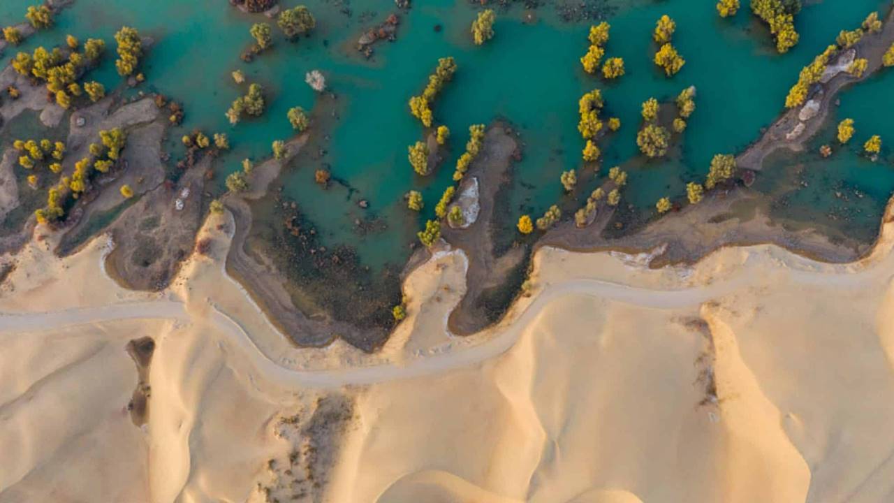 Büyük Yeşil Duvar - Taklamakan Çölü