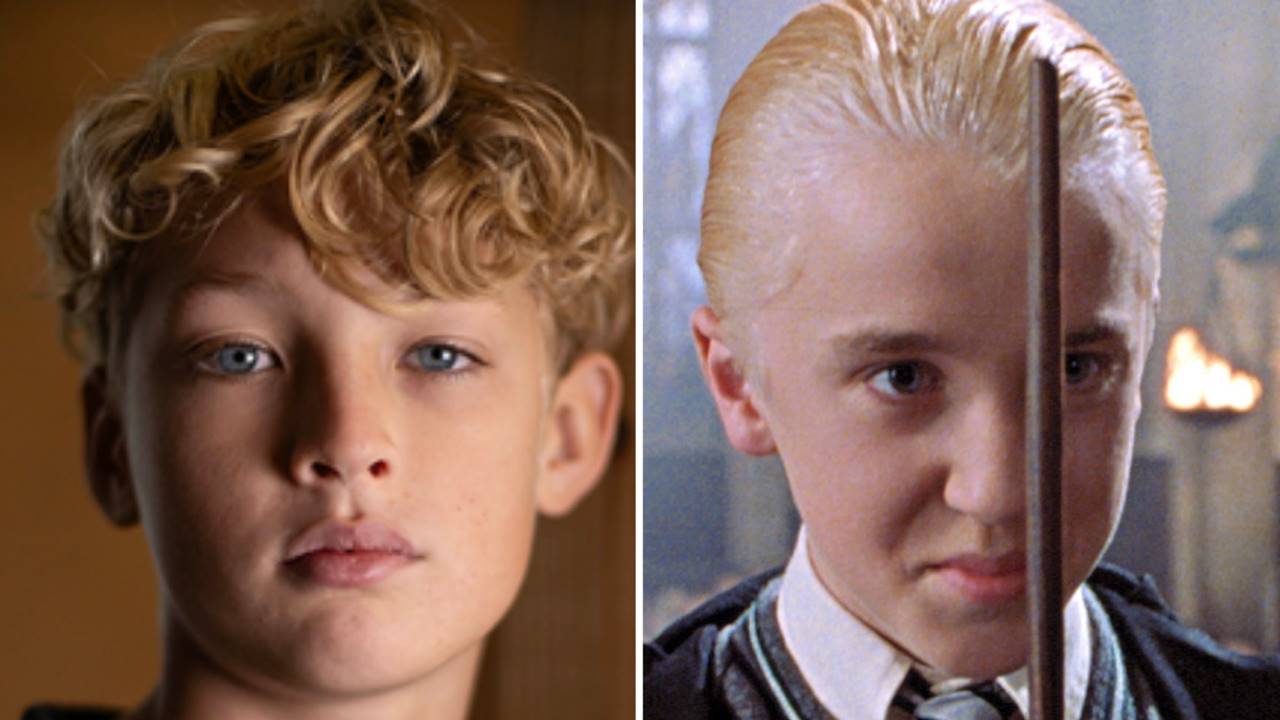 Harry Potter Dizisi Malfoy Malikanesi Daha Detaylı