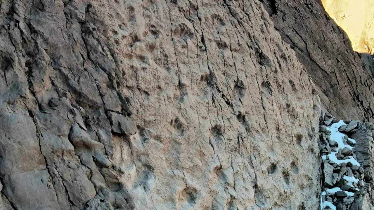 İtalyan Alpleri’ndeki Dikey Bir Kayalıkta 210 Milyon Yıllık Dinozor İzleri Bulundu