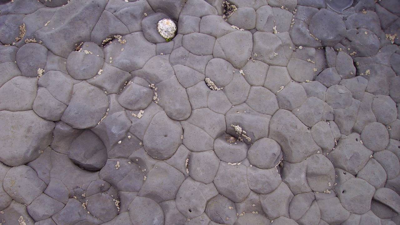 Mars Yaşam Kanıtları - Çamurtaşı Örnekleri