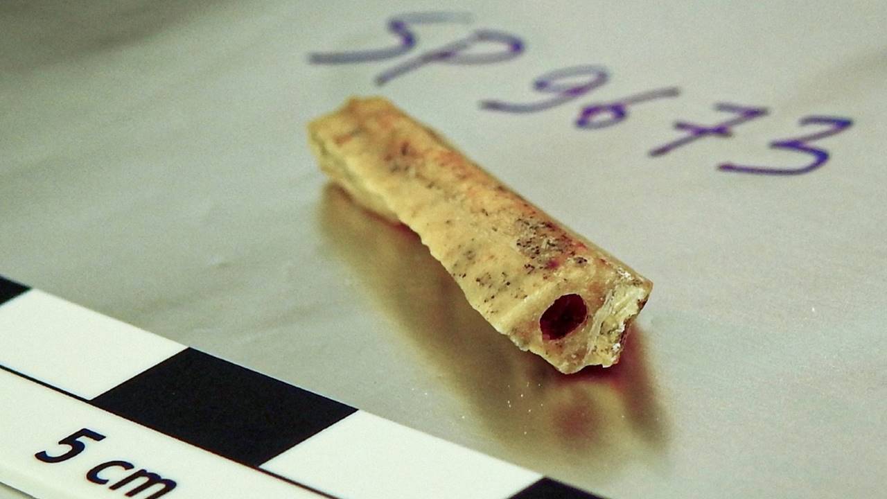 10 Bin Yıl Arayla Aynı Mağarada Yaşayan İki Neandertalin Gizemi 110 Bin Yıllık Kemikle Çözüldü 4 Denisova Mağarası Neandertal Kemikleri