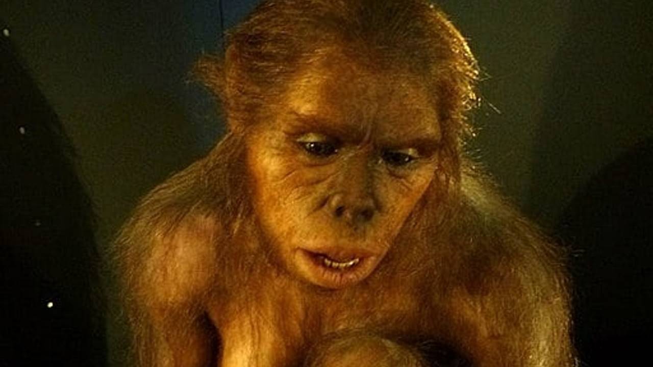 Homo habilis İnsan Atası Tartışmalar