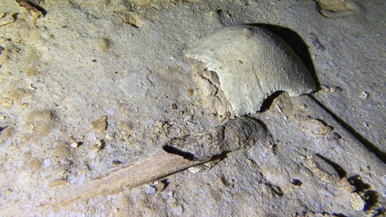 Meksika Su Altı Mağarası