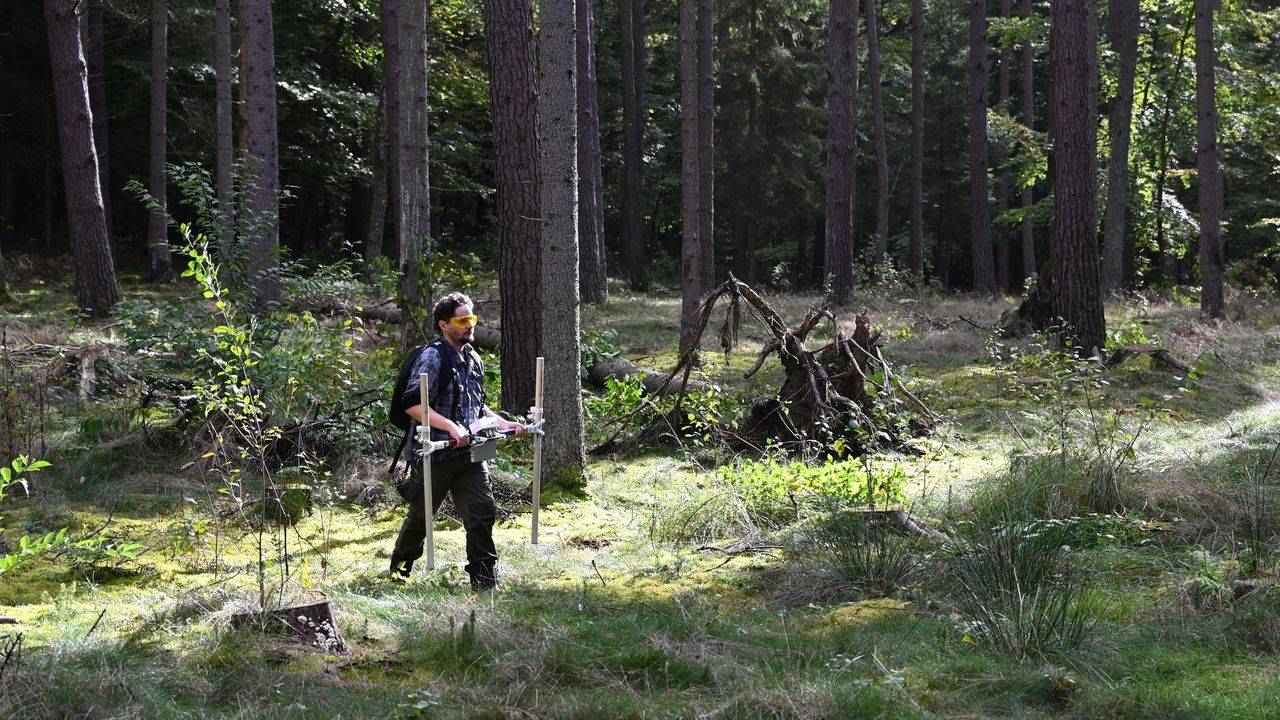 Neden Terk Edildiği Bilinmiyor 5 Polonya Stolzenberg