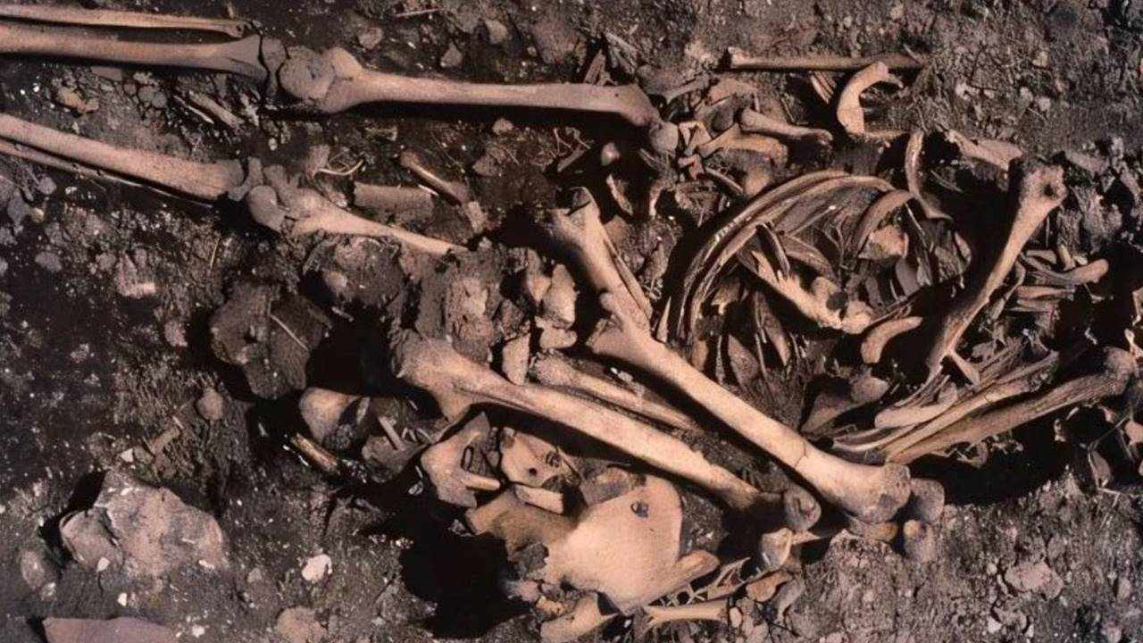 Taş Devri İsveç Mezar DNA Aile Bağları