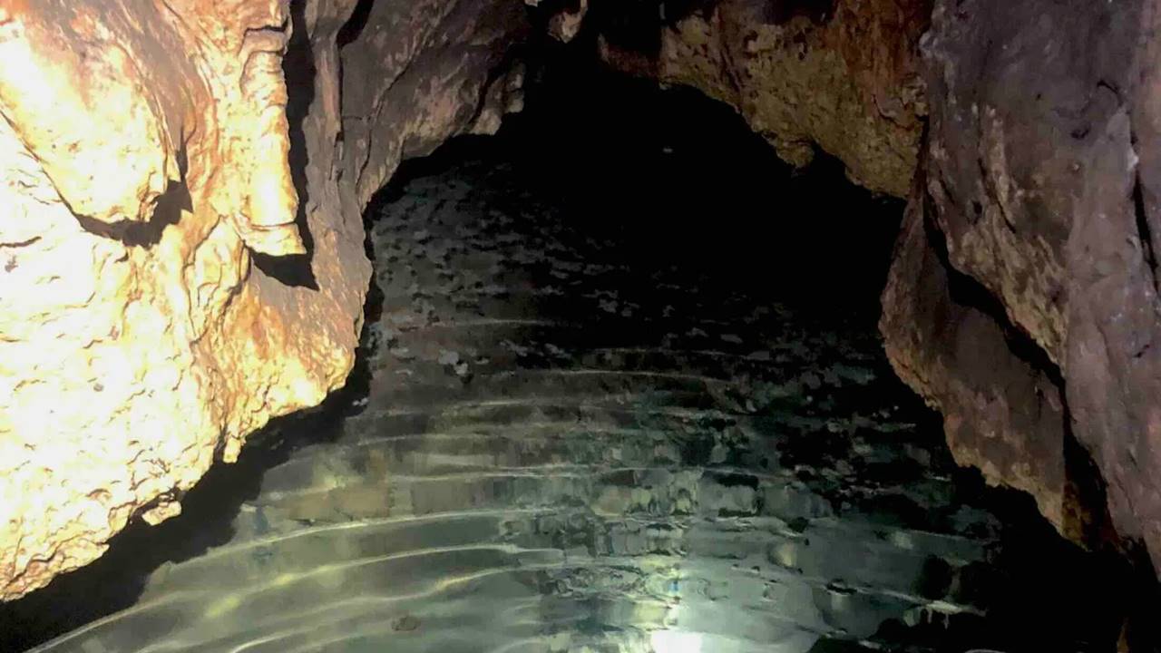 Teksas’taki Gizemli Mağarada Buzul Çağı’ndan Kalma Dev Kaplumbağa Fosili Keşfedildi