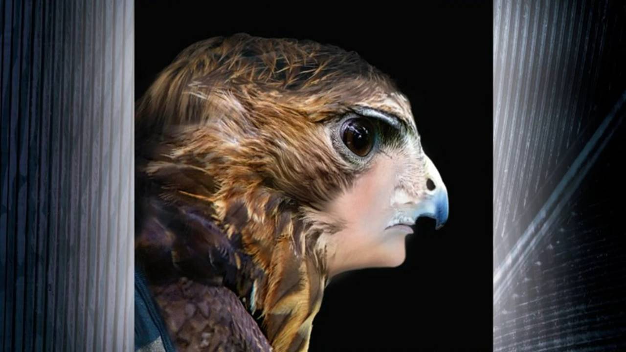 Animorphs Dizi Uyarlaması Disnye