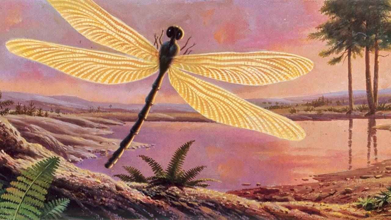 300 Milyon Yıl Önce Yaşamış Dev Böceklerin Ardındaki Gerçek Bilinenden Çok Daha Farklı Olabilir