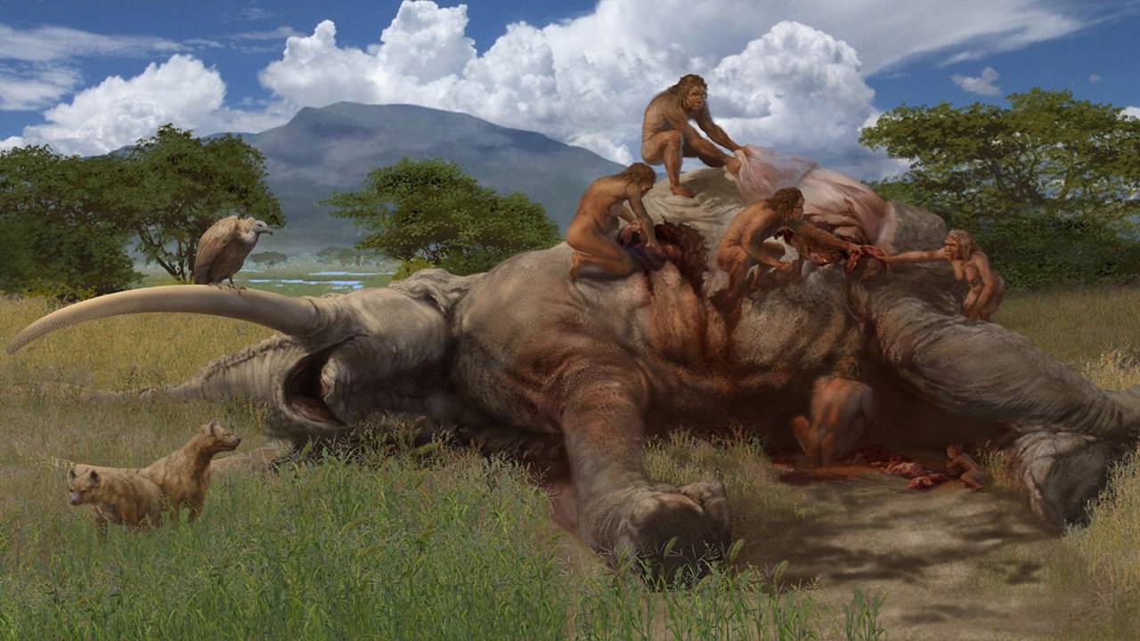 1,8 Milyon Yıllık Dev Bir Filin Kalıntıları, Erken İnsanların Hayatta Kalma Sırrına Işık Tuttu