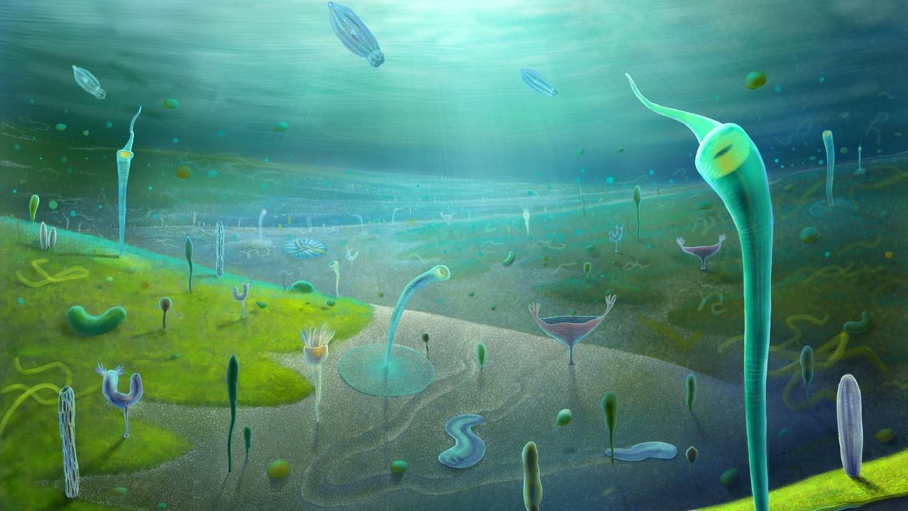 Evrim Tarihindeki Boşluk Daralıyor: 540 Milyon Yıllık Fosiller, Gizli Kalmış Bir Dönemi Aydınlatıyor