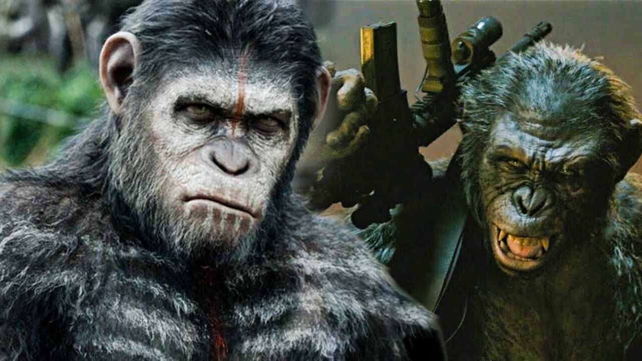 Maymunlar Cehennemi’ndeki İç Savaş Gerçek Oldu: Onlarca Ölüm Var