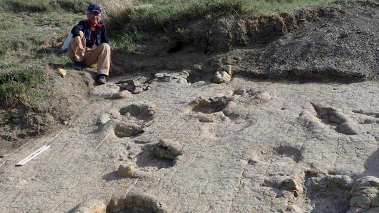 120 Milyon Yıllık Gizem Çözüldü: Dev Dinozorların Moğolistan’daki Kayıp İzleri Tekrar Bulundu