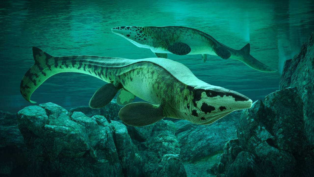 Tylosaurus rex - Denizler T Rex