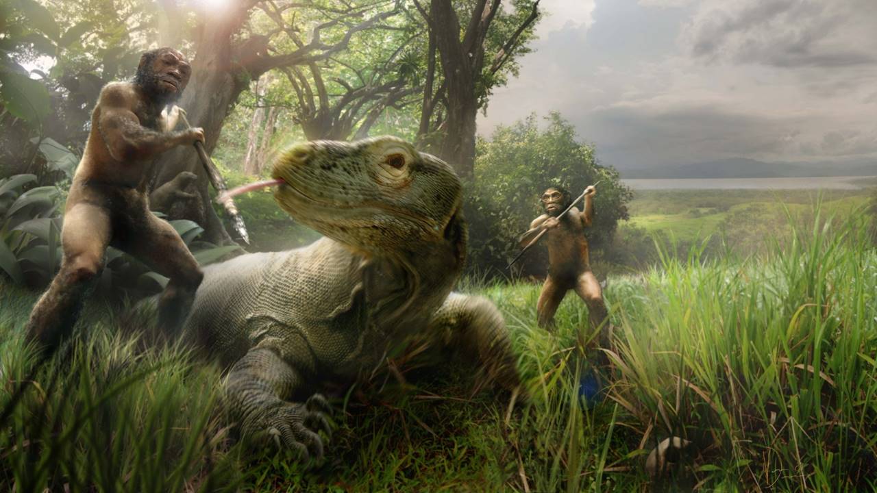 İnsan Evriminin En Tuhaf Türlerinden ‘Hobbit’ler, Komodo Ejderlerinin Peşinden Gitmiş Olabilir