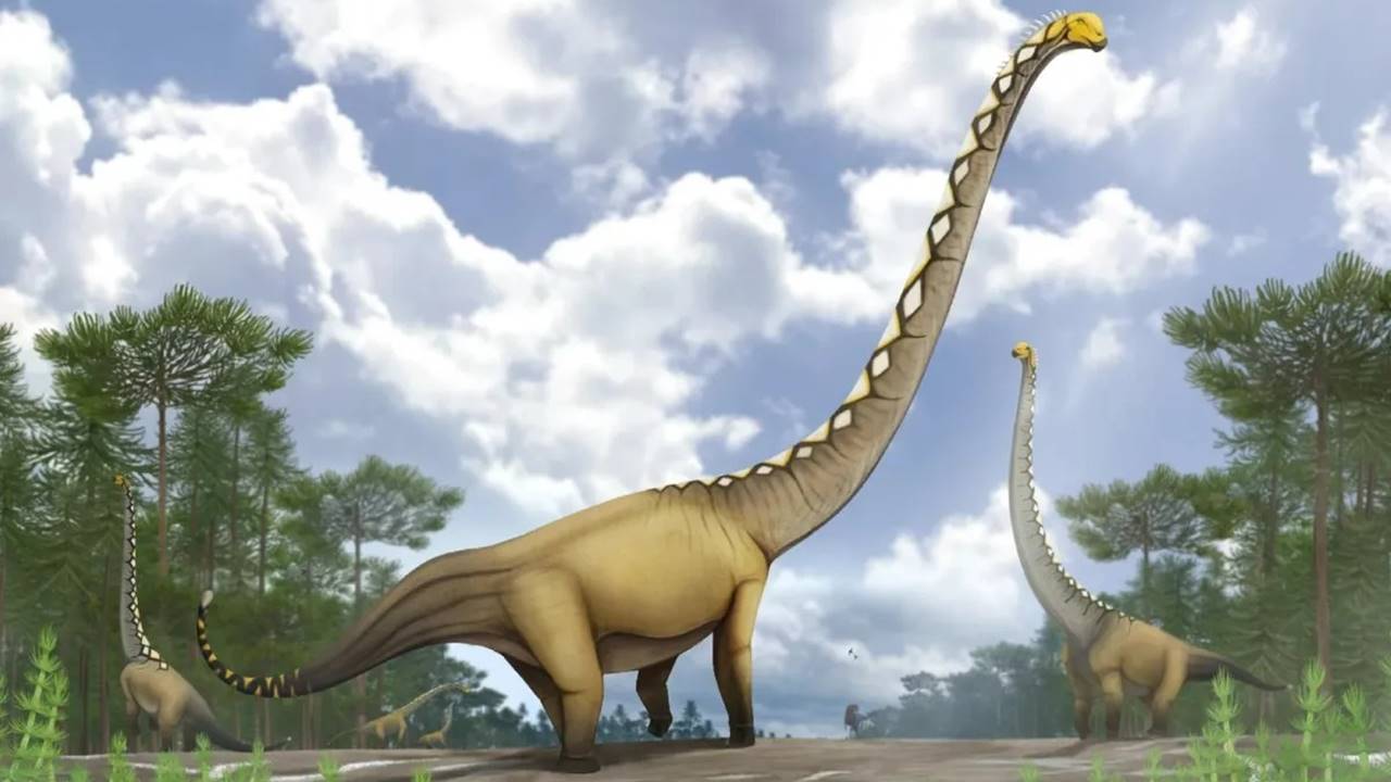 143 Milyon Yıllık Tek Bir Kemik Kalıntısı, Yeni Bir Dinozor Türünün Keşfedilmesini Sağladı