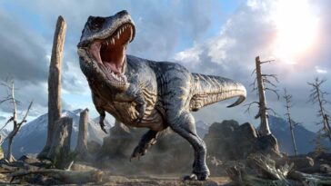 T. rex ile İnsanlar Arasında Benzerlik Keşif