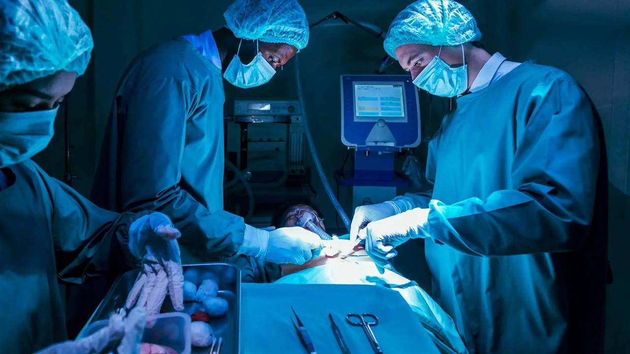 Organ Naklinde Dönüm Noktası: Bir Yıl Dondurulan Domuz Böbreği Yeniden Hayata Döndürüldü 3 Organ Nakli - Domuz Böbreği Deneyi