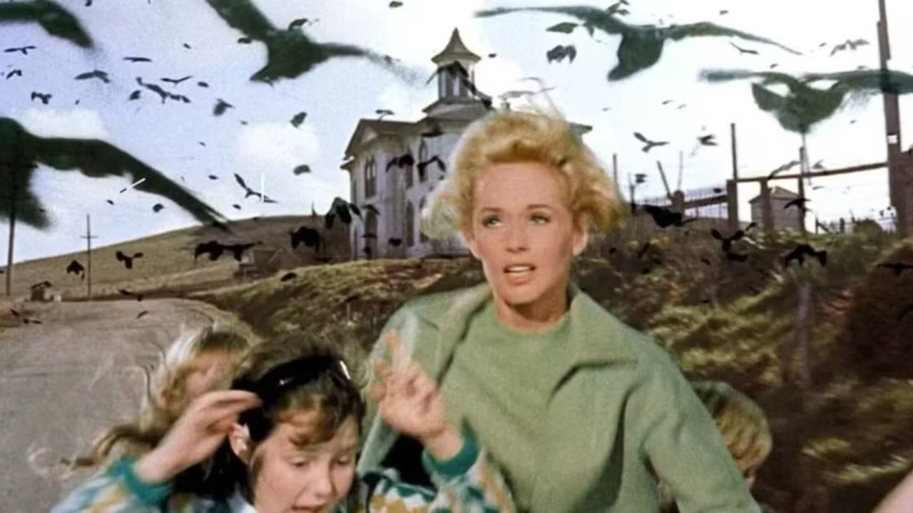 Alfred Hitchcock'un 63 Yıllık Korku Klasiği HBO Dizisi Oluyor: Başrolde Emmy Ödüllü Yıldız Var 2 The Birds Dizi Uyarlama HBO